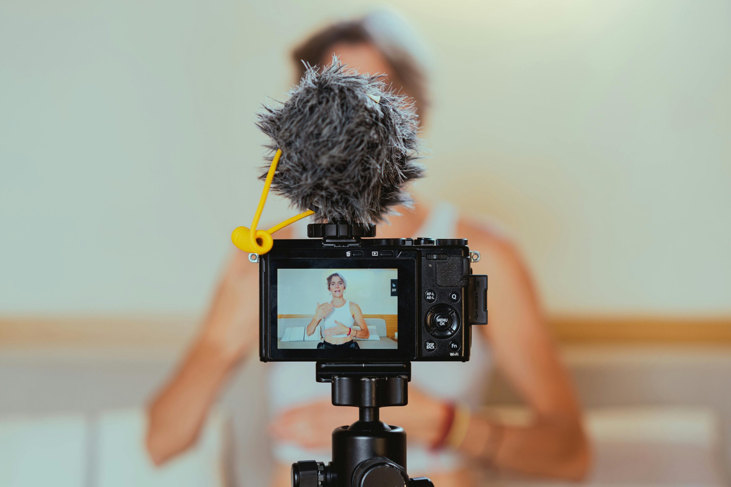 Influencer marketing earning